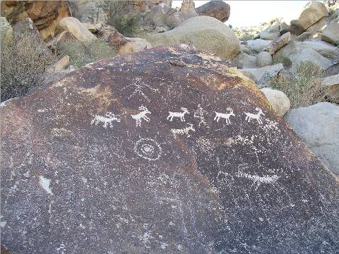 Bighorn petroglyphs